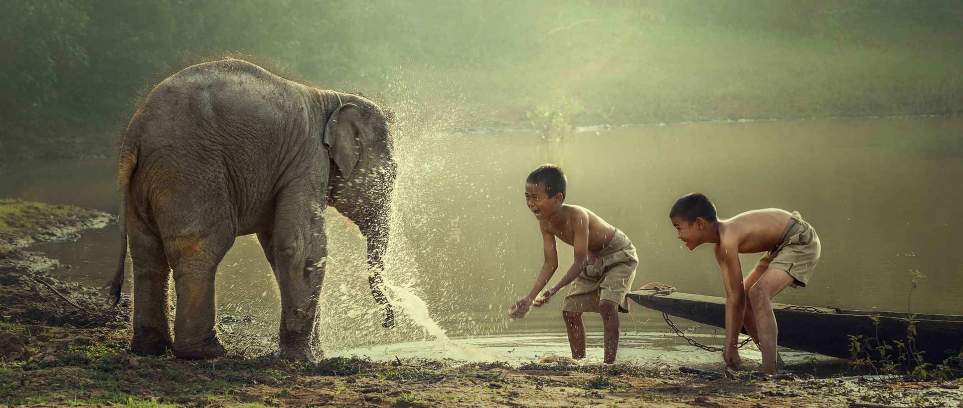Zwei Kinder machen sich einen großen Spaß daraus, einen jungen Elefanten mit Wasser zu bespritzen.