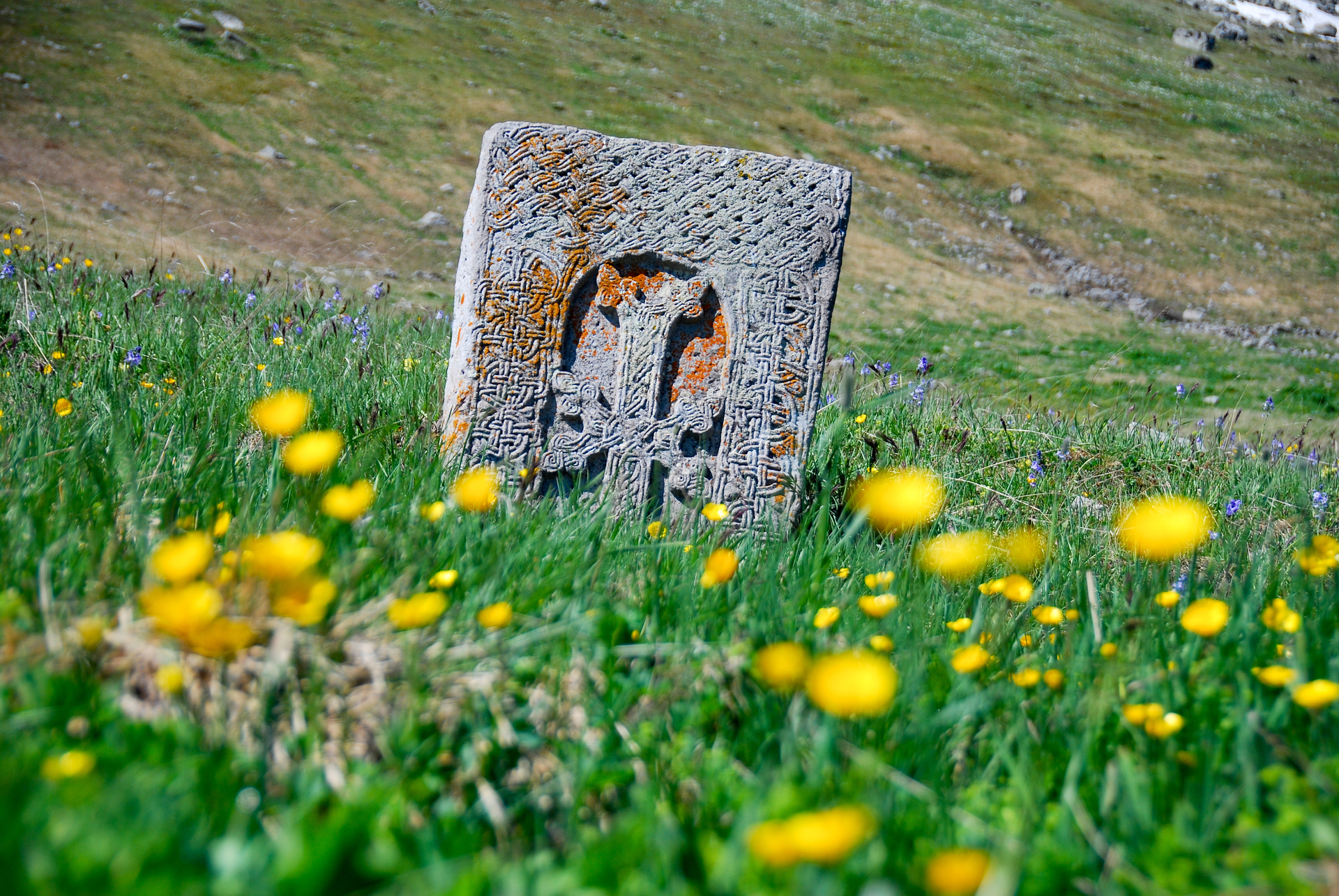 Ein armenischer Kreuzstein auf einer Blumenwiese.