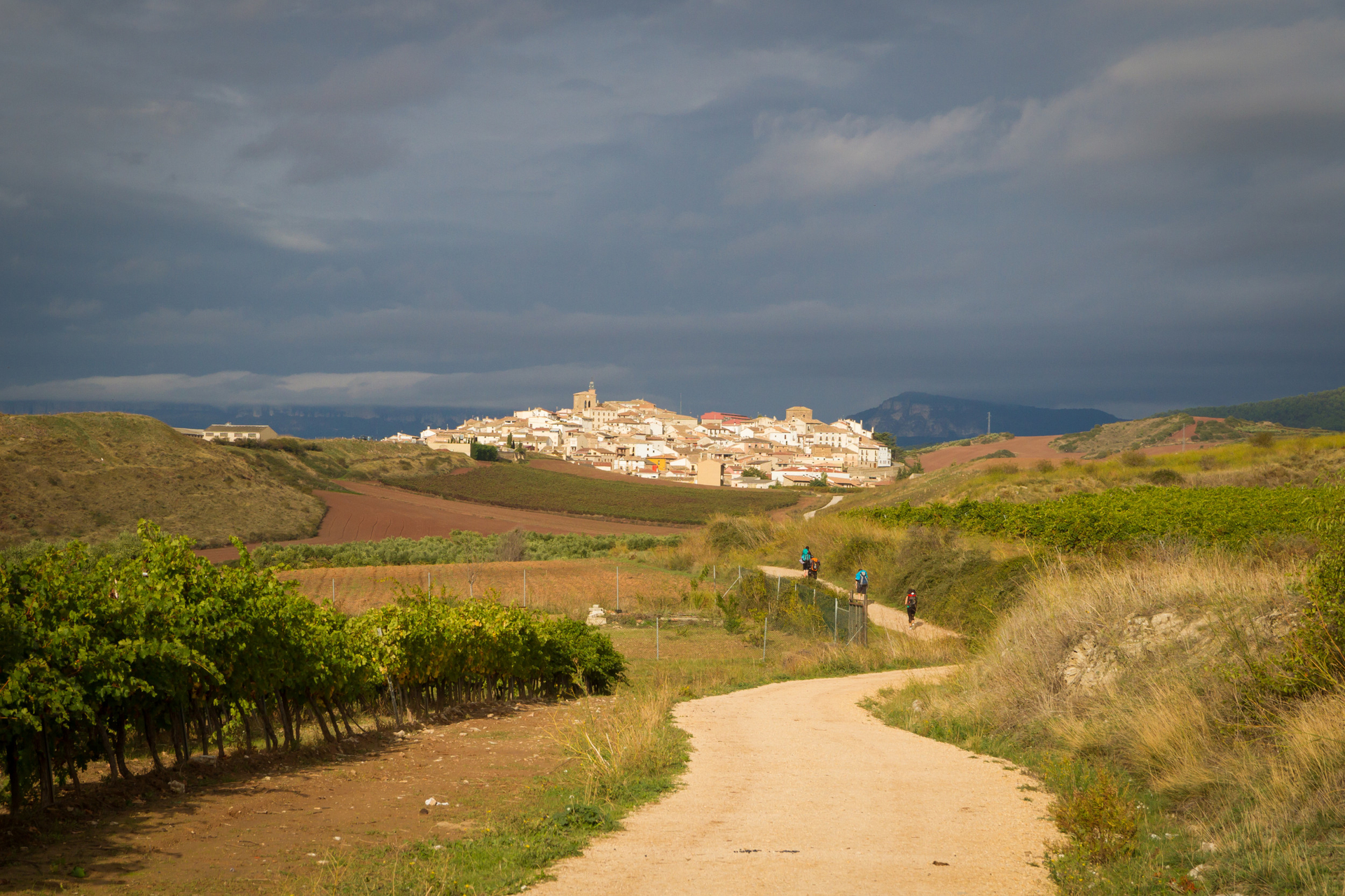 Die Wanderung auf dem Jakobsweg in Spanien führt durch Weinberge, Felder und weiße Dörfer.